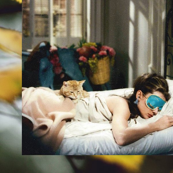 Sonbaharda en güzel yapılacak şeyler: Rahat kıyafetler giymek,
Sıcak bir çay içmek, Kitap okumak. Peki ya sizinki?