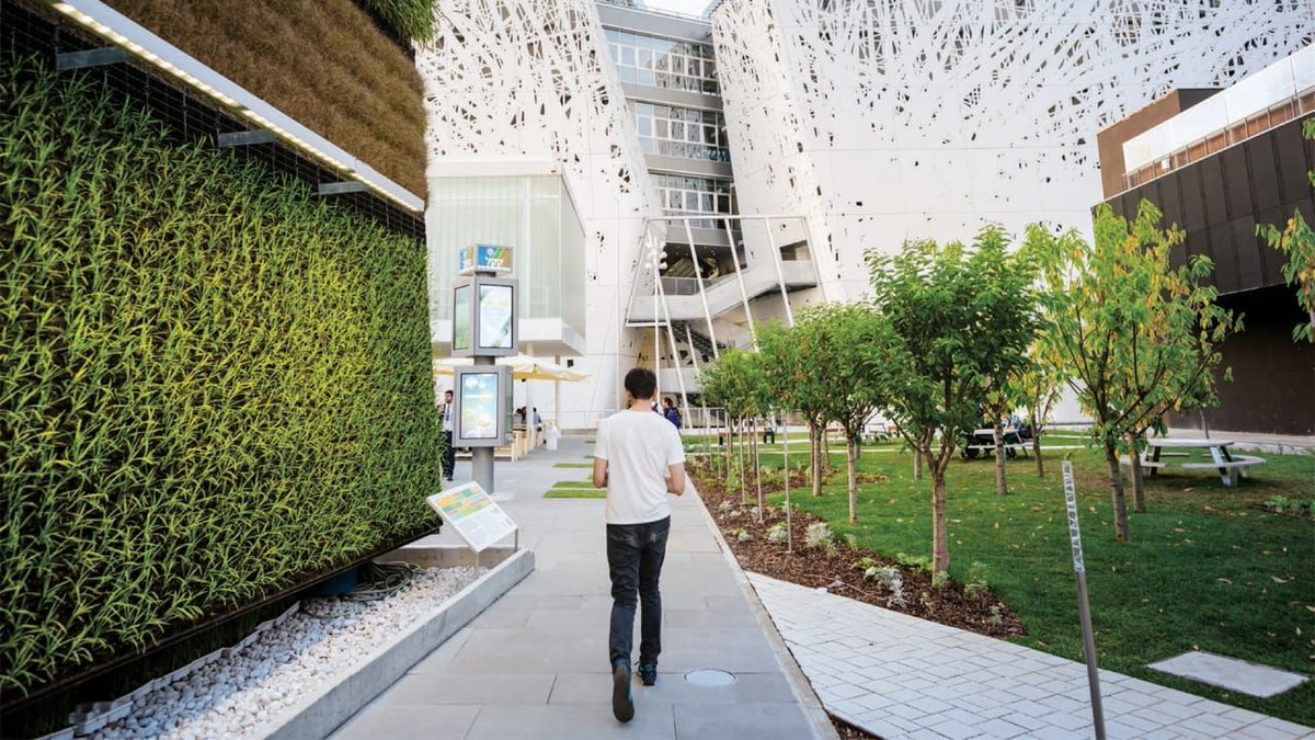 FastCoDesign's tweet image. This is exactly why cities need to cover all of their buildings in plants buff.ly/2wIGSM6 (from 2016)