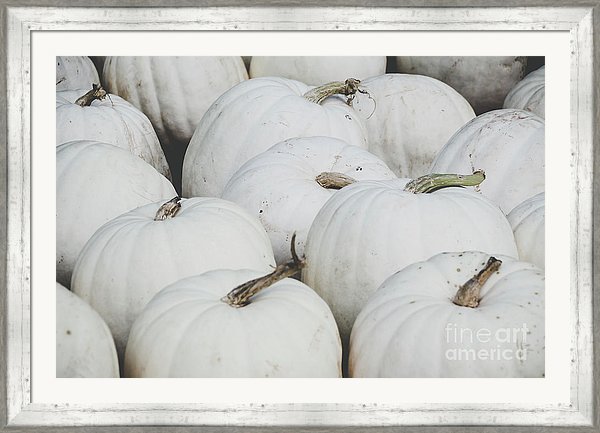 NEW work => fineartamerica.com/featured/white…
#pumpkins #whitepumpkins #fall #falldecor #foodphotography #Thanksgiving #wallart #artcollector #Autumn