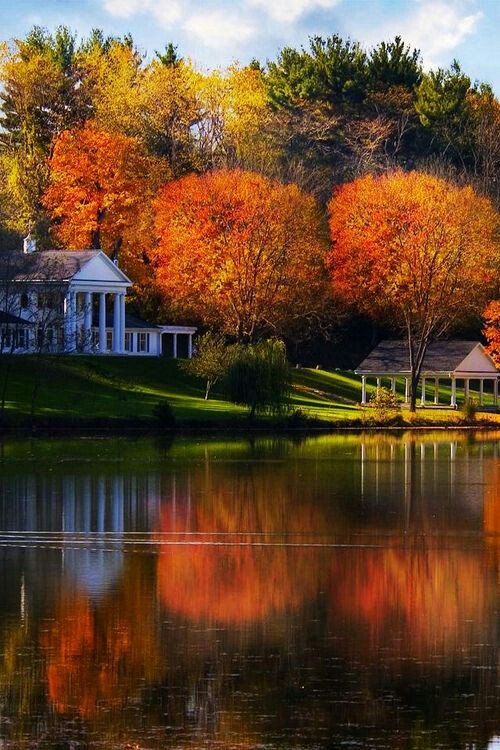 MarionSpekker's tweet photo. Good morning :-)) 
Twitterworld ✨💓✨ https://t.co/bKHtCdMbom