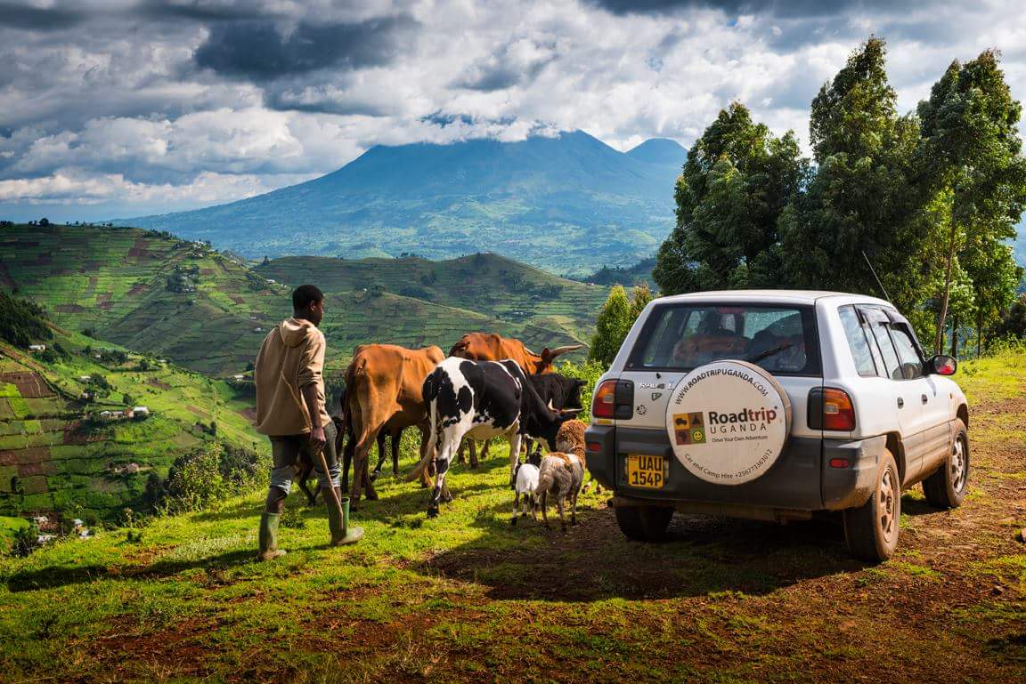 EDXTravel's tweet photo. Roadtrip Uganda wins the category of Uganda's Leading Car Rental Company 2017 at the 24th World Travel Awards™ Congrat's @RoadtripUganda 🎉👏🎊 https://t.co/aUHCipHsNf
