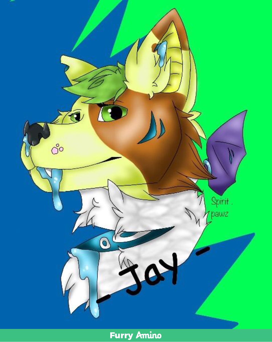 Jay the fruitbat (@furryjay7) / Posts / X