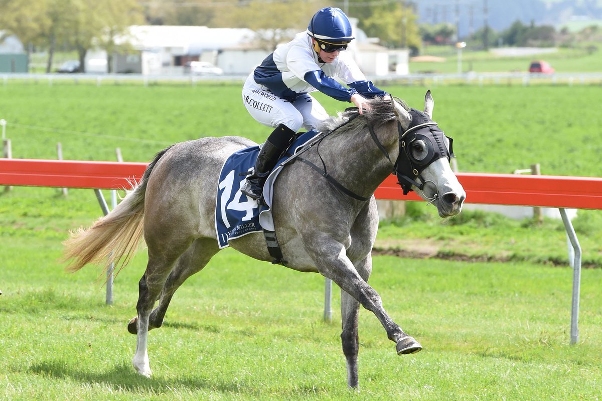 nzracingnews's tweet photo. #Kapoor’s maiden success at Taupo on Wednesday has confirmed a black type opportunity #SoliloquyStakes https://t.co/gf9MN6r7Y4 https://t.co/Ml1Tu7msIl