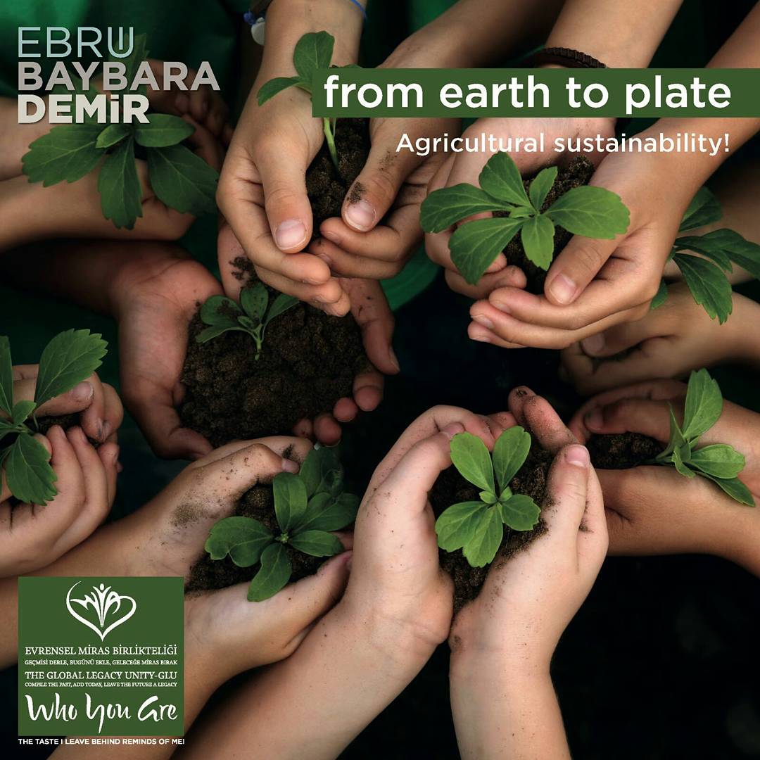 cercismurat's tweet photo. Agrıcultural sustainability.
The principle of sustainability in use of seed is essential. 
#ChefEbruBaybaraDemir #localseed https://t.co/HivnM1uTRf