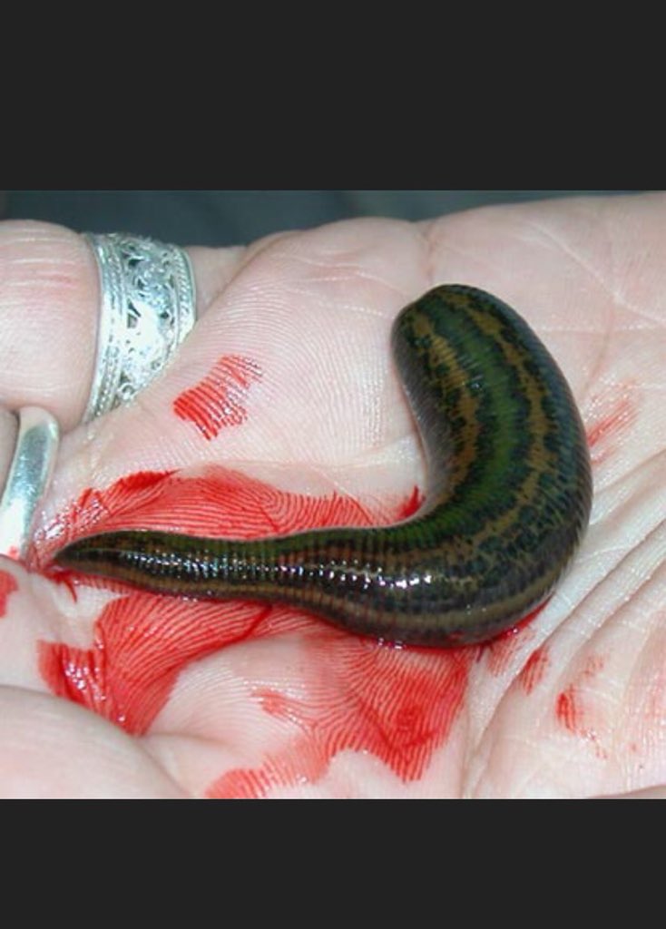 SDDNP's tweet image. Tis what happens when fools ‘elect’ an incompetent Unqualified clown: U get a lame circus! #ImpeachTheLeech #nevertrump #savePR #maria