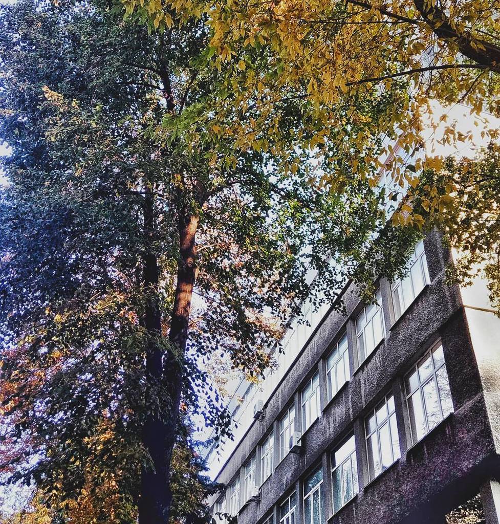 UAS_ukraine's tweet photo. #Осінь – пора, що найбільше асоціюється з навчанням.🍂
___

#Autumn – season which mostly associate with #studying. 🍂

#university #studentu… https://t.co/TNPZEdYzM3