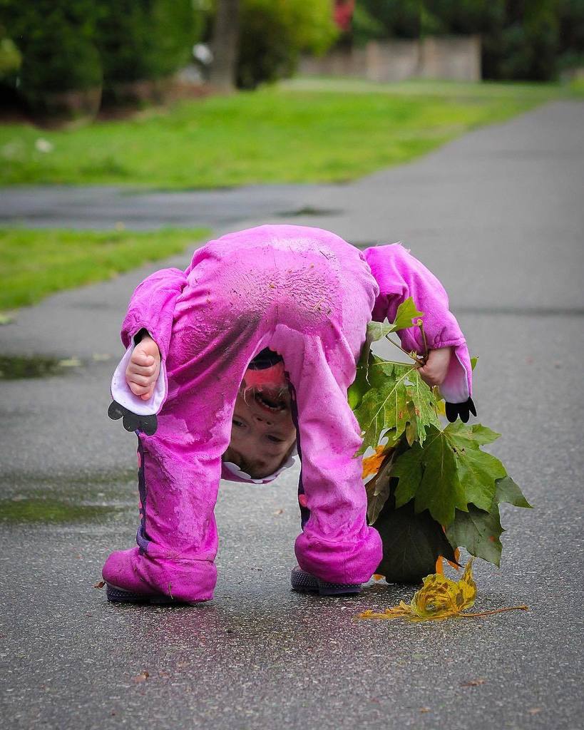 mexicanada82's tweet photo. Sitting in puddles are fun....for a 3 year old lol #sillygirl #monster #dirtybum #funny #niece #puddles #leaves #h⦠https://t.co/0CJFPCjUHX https://t.co/8BMtYyfWKr