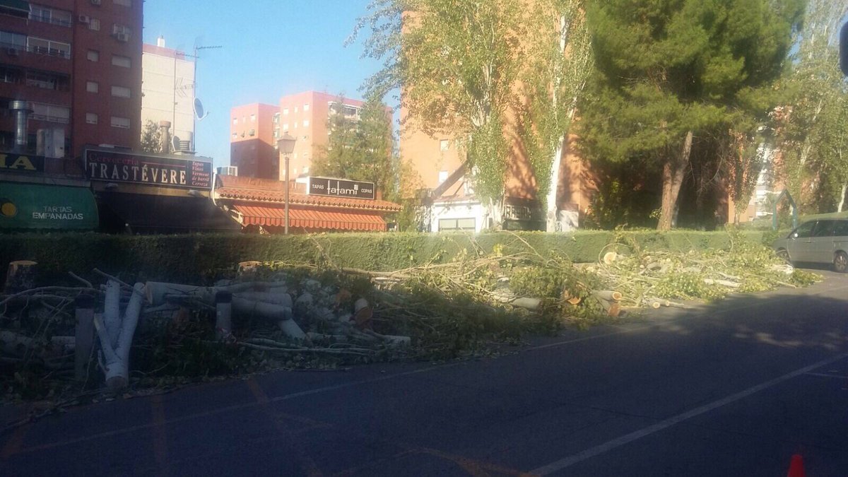 Contaminación diaparada n <a href="/MADRID/">Ayuntamiento Madrid</a>, mientras cortan más árboles.No entendemos nada #planA #pena #sequía <a href="/AhoraMadrid/">Ahora Madrid</a> <a href="/equomadrid/">Partido Verde Madrid</a> <a href="/psoe_m/">PSOE Madrid</a>