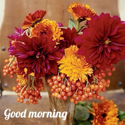 Mr.Amitabh bachchan sir happy birthday to you and my little gattoo (Priyaka) happy birthday 