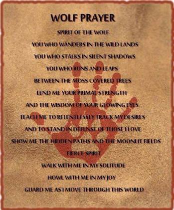 WOLF PRAYER 🐺  #inspirational