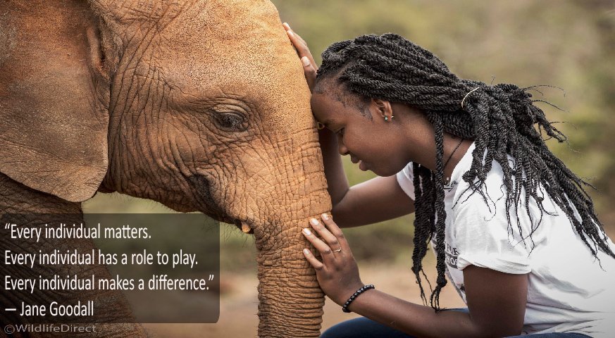 Happy international day of the girl child! Every individual has a role to play in wildlife conservation! #DayoftheGirl