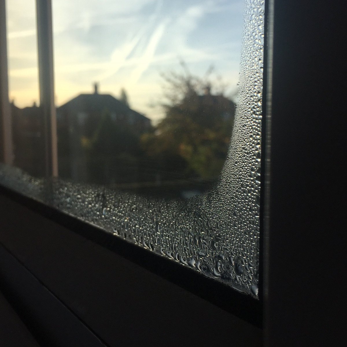Cannondamp's tweet photo. Waking up to this?
We can stop this within hours
#shoplocal #smallbusiness #flockBN #wetherbyhour #PontCashour #wineoclock #keepitloca https://t.co/3sB65Jxm0Z