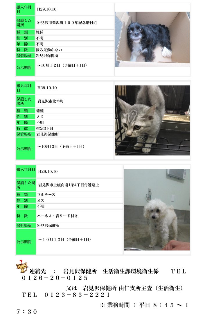 北海道 保健所 里親募集 コロナに負けるな 北海道の飲食店応援 No Twitter 岩見沢保健所さん 迷い犬猫 上の子はキャバリアでしょうか 後脚が動かないとあります 遺棄かと チビにゃんもお迎えは考えにくいです 下の子だけハーネスと青いリードつきです 北海道 保健所 里親募集 コロナに負けるな 北海道の飲食店応援 No Twitter 岩見沢保健所さん 迷い犬猫 上の子はキャバリアでしょうか 後脚が動かないとあります 遺棄かと チビにゃんもお迎えは考えにくいです 下の子だけハーネスと青いリードつきです