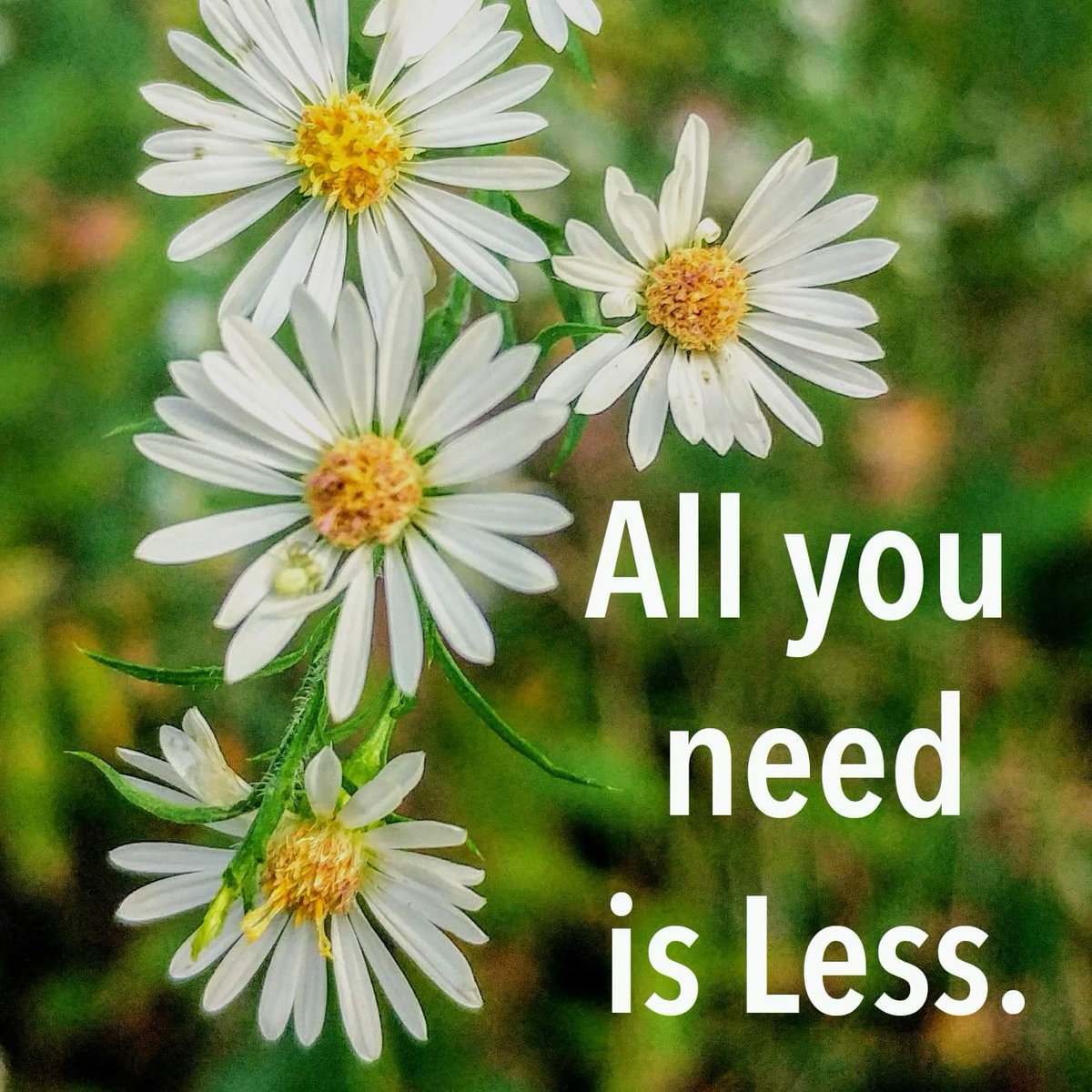 CABarrow's tweet photo. My current mantra... https://t.co/ysjcLPVkjH