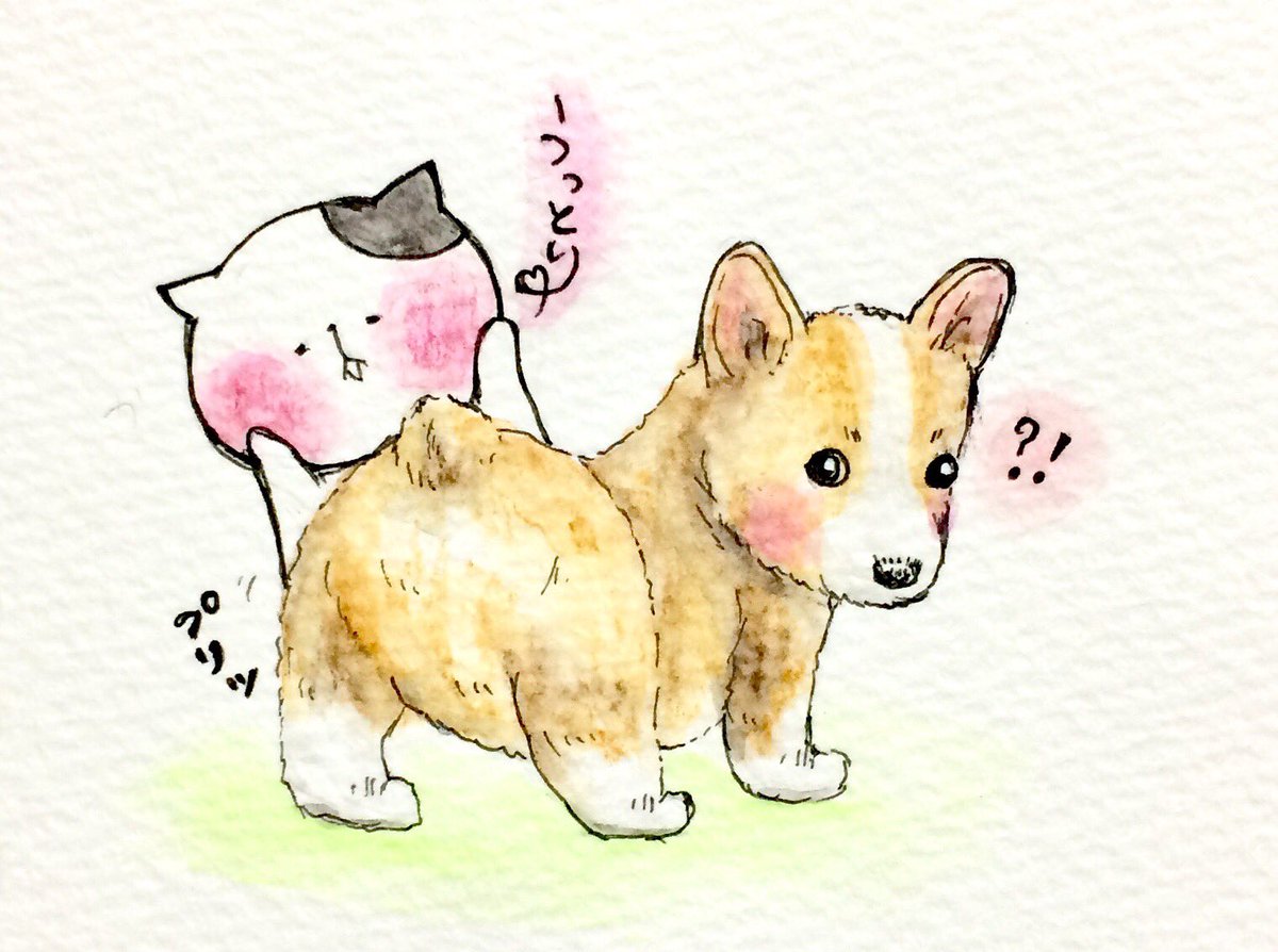 おこにゃん こーぎーのおしりもすき おしり コーギー プリッ 好き 犬 猫 ネコ ねこ イラスト 可愛い 1日1絵 癒し 手描き 絵描きさんと繋がりたい イラスト好きな人と繋がりたい お絵かき部 Cats T Co Fpyb2tkrfk Twitter