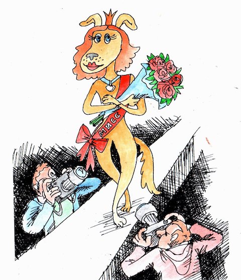 ВНИМАНИЕ! Кастинг собак ghope.ru/news/vnimanie-…