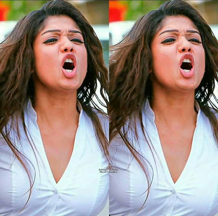AngelActress's tweet photo. My Darlings https://t.co/t7gWd7C2N3
