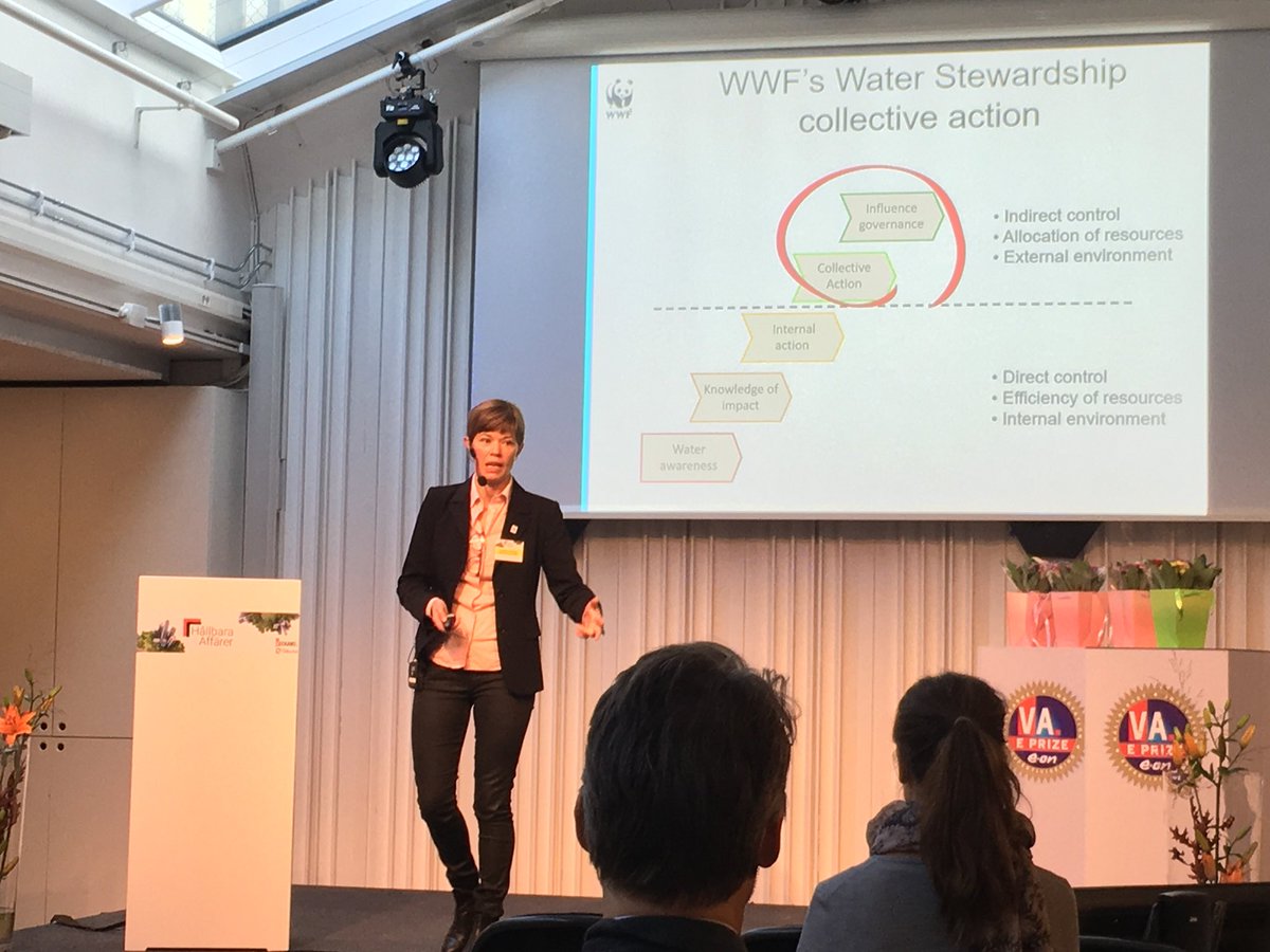 Charlotta Järnmark om hur företag kan arbeta med sina vattenrisker. waterriskfilter.org goo.gl/2tCgew #hallbaraaffarer2017