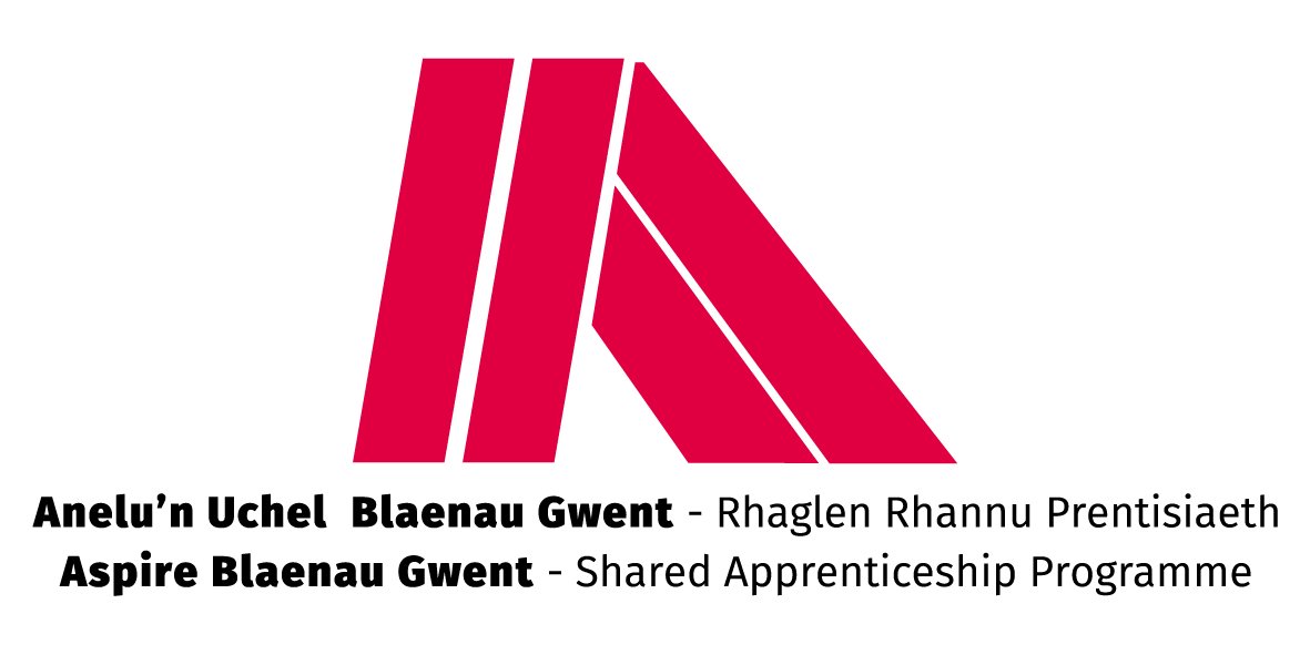 BlaenauGwentCBC's tweet photo. Aspire Apprenticeship Mechanical Vacancy Available  SAP@blaenau-gwent.gov.uk #investinbg

 https://t.co/MHmOpsIQ5P https://t.co/OuadS6UKIy