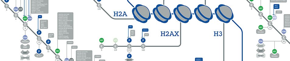 online light scattering by particles in water theoretical and experimental