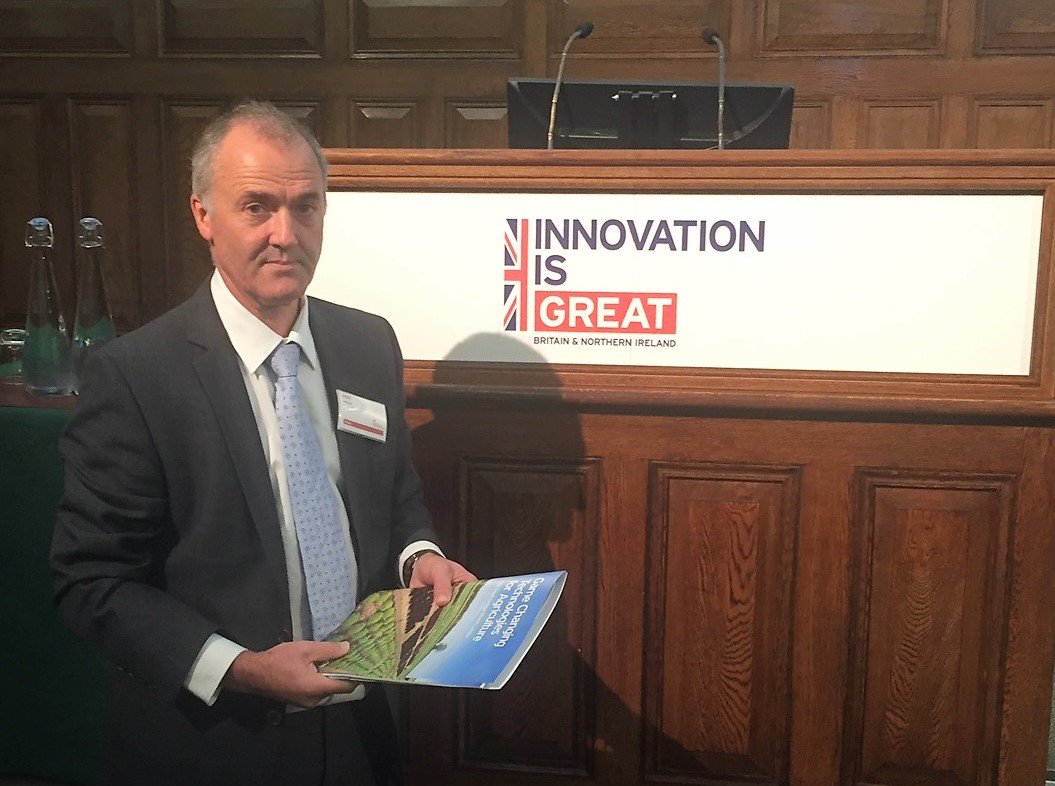 Hutchinsons tweet media