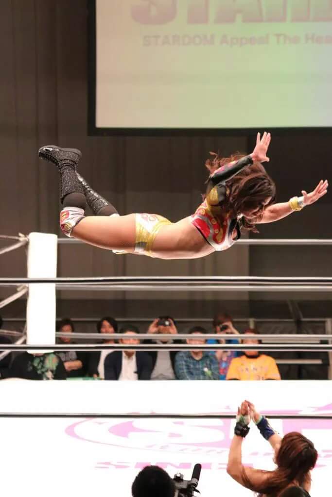 AngelesDeSarah's tweet photo. Hace 2 años en Stardom, Farewell match! https://t.co/WgWKPrOfd4