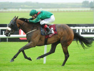 ggcouk's tweet photo. Dermot Weld announces retirement of Shamreen -
https://t.co/udZfLYmEL0 #horseracing #racingnews #Shamreen https://t.co/DVmMQFJo5i