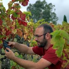 ericandreucarv2's tweet photo. VI+ Passejada amb @oriol_artigas i @bouquetdalella entre vinyes &amp; tast dels seus vins diumenge 15.10👉 https://t.co/uBvZDcdDt8 … #vimesdoalella https://t.co/QYv4f7EMZ5 @turismeDOAlella