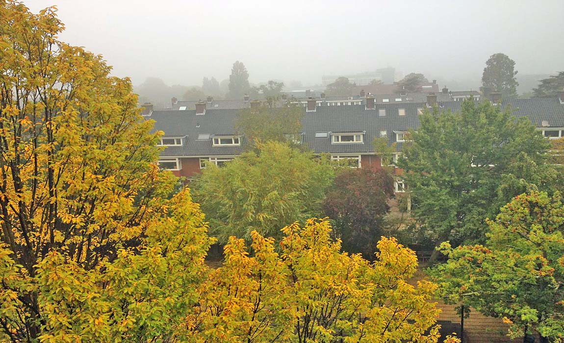Bijna een nieuwe #regering deze #herfst: wat betekent dit voor jouw #positie <a href="/schoolleider/">AVS</a>?