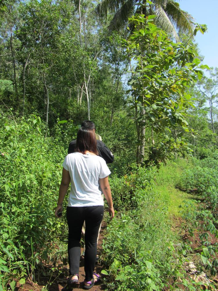 JavaFresh_Fruit's tweet image. Let's hike 🏃 On the way to the dragon fruit plantation #indonesia #pitaya #adventure