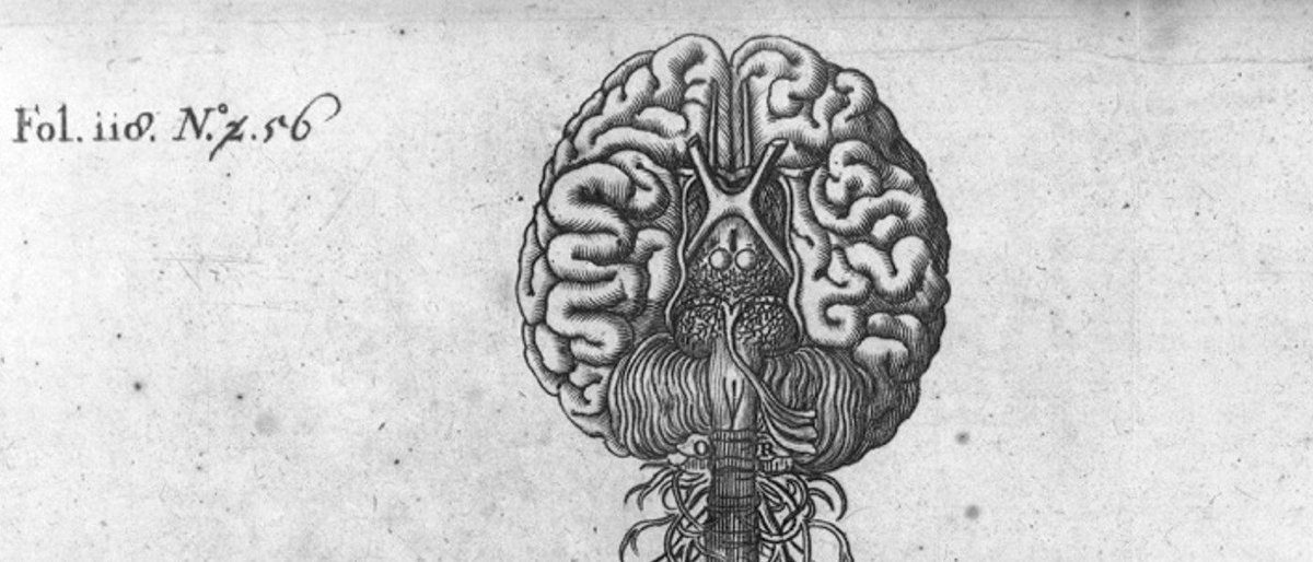 Arditodesio (@arditodesio) on Twitter photo Il Cervello. La cosa più preziosa che abbiamo.
NOI, ROBOT con <a href="/And_Brunello/">Andrea Brunello</a> sta per arrivare!
TEASER: vimeo.com/215324654/07fc… Il Cervello. La cosa più preziosa che abbiamo.
NOI, ROBOT con <a href="/And_Brunello/">Andrea Brunello</a> sta per arrivare!
TEASER: vimeo.com/215324654/07fc…
