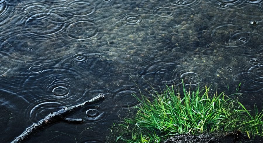 0348online's tweet photo. Reageren op het gemeentelijk waterbeleidsplan - https://t.co/ORzIrurQNN https://t.co/ojUVYJczTL