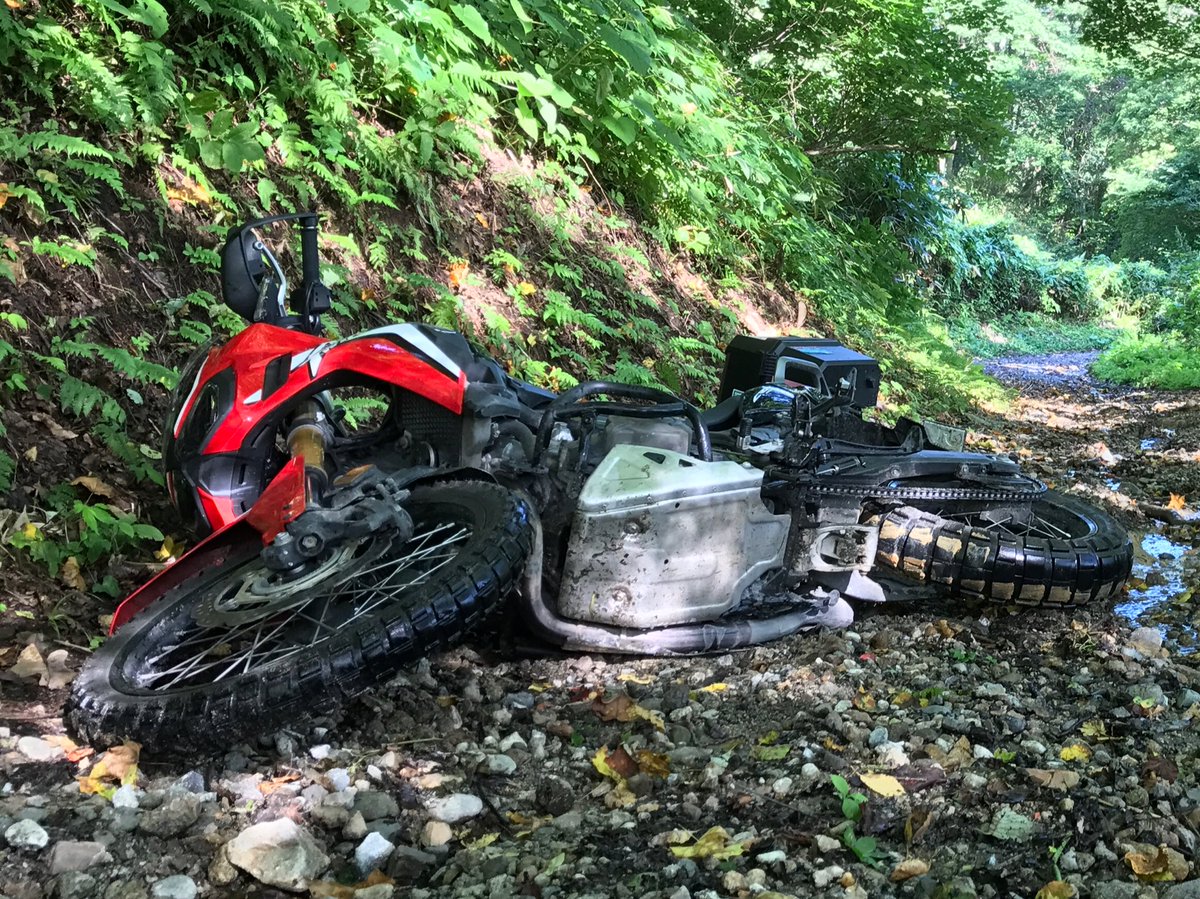 agonashiunso's tweet image. #サイドショット晒すとrtが来る