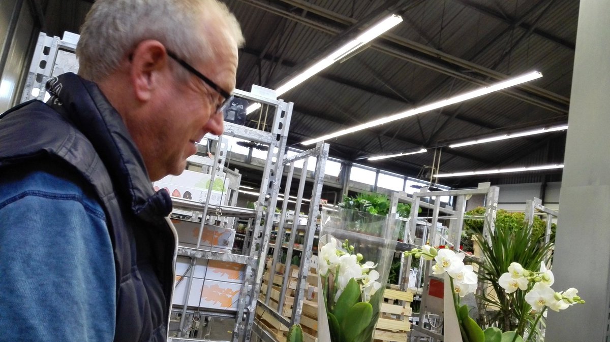 HeemskerkKoos's tweet photo. On the road met de Original Orchids van "Nieuw Bos " Enjoying the natural look"" Met Henk Blom"" #RFHR #YAM https://t.co/7tn04pCDWM