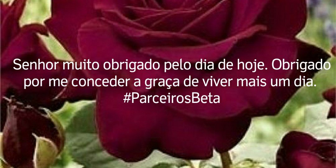 Obrigada meu Senhor 
#ParceirosBeta @parceirosbeta