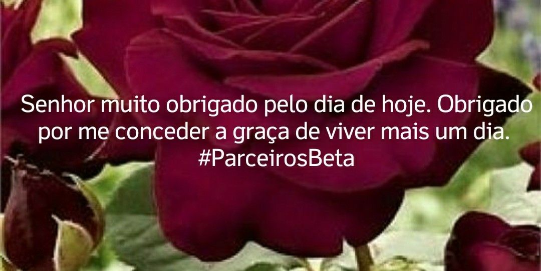 #ParceirosBeta
<a href="/ParceirosBeta/">#PARCEIROSBETA OFICI</a>
