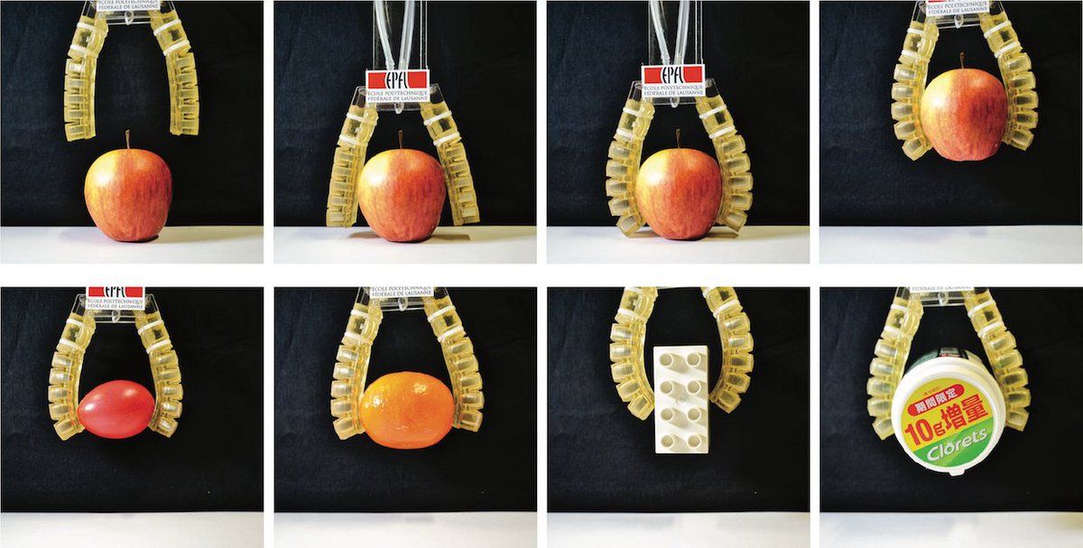 An Edible Actuator for Ingestible Robots from EPFL LIS lab spectrum.ieee.org/automaton/robo…