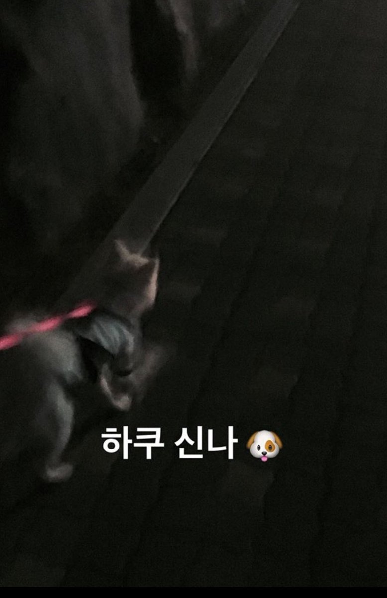 정다빈_bot tweet media