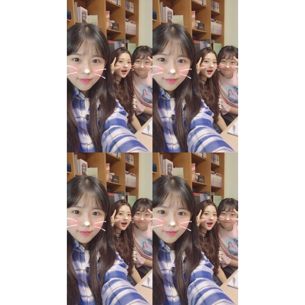 정다빈_bot tweet media