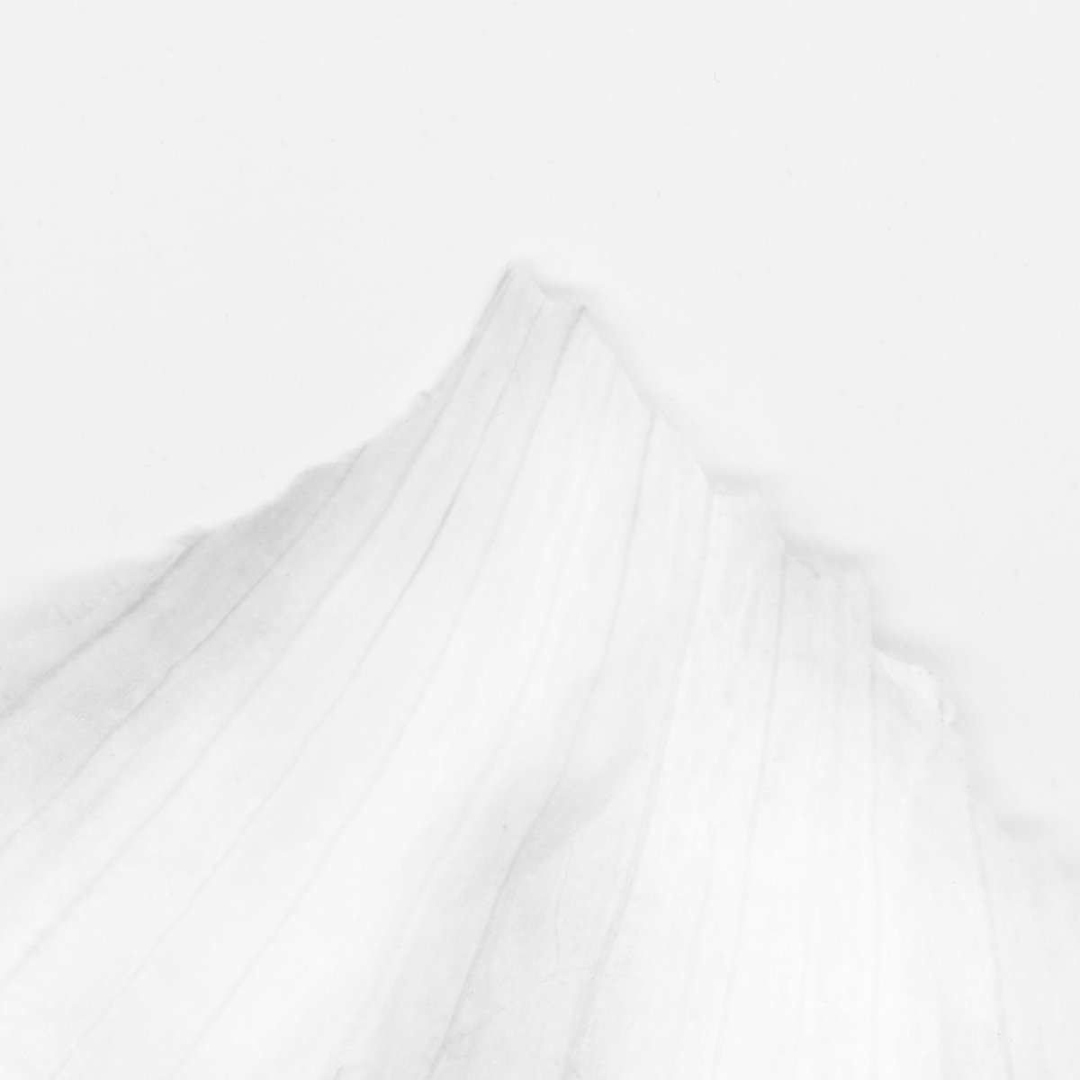 BegiraPhoto's tweet photo. Fotografía de Raquel Fontarosa forma parte de la exposición colectiva "Alcanzar la cima"

¡Yo me apunto! Ni banoa! https://t.co/zZaU7pyPkO
