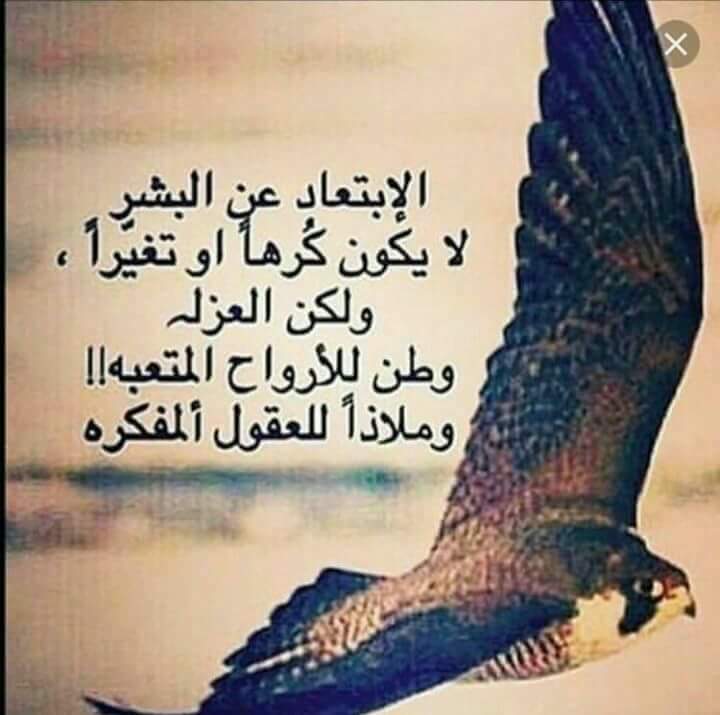 جبار الشرطاوي tweet media