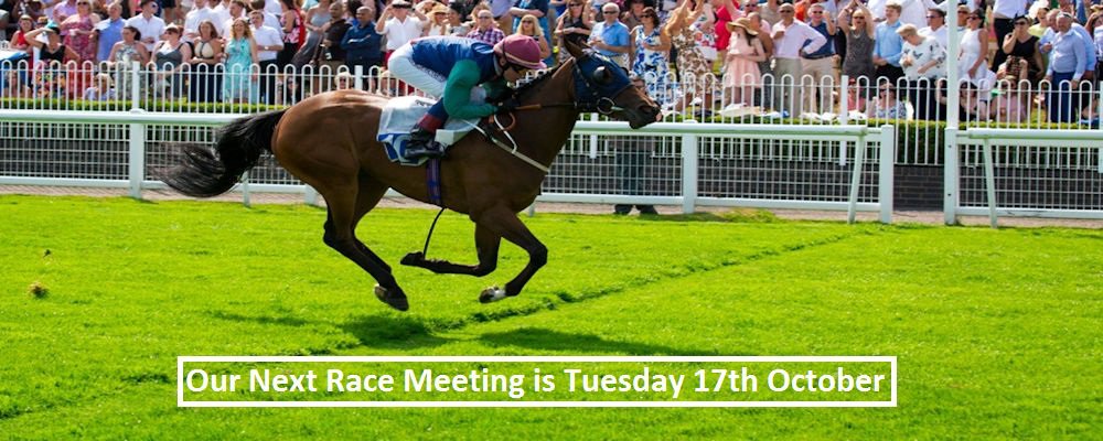 LeicesterRaces's tweet image. 🔸🔹🔸 our next meeting is Tuesday 17th October🐎🏁 🔸🔹🔸

Gates open 12:00pm 🕛

First Race 2:00pm 🕑

Last Race 5:00pm 🕔