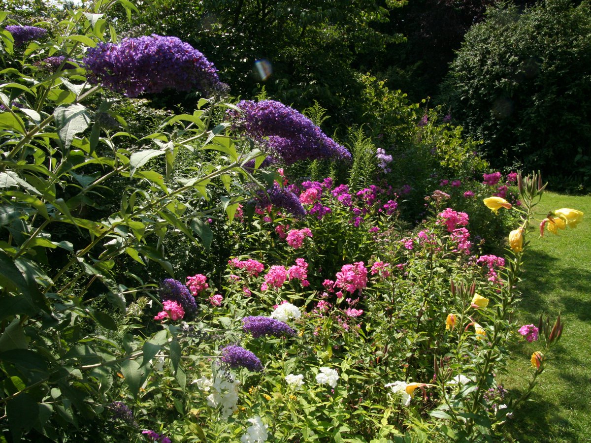 NVWCulemborg's tweet photo. Vanavond mooie films natuur in de achtertuin door #AnnettevanBerkel #NVWC @WeeshuisMuseum @OBRivierenland @Culemborg https://t.co/8vle3FTvGI https://t.co/YRruBZrSbu