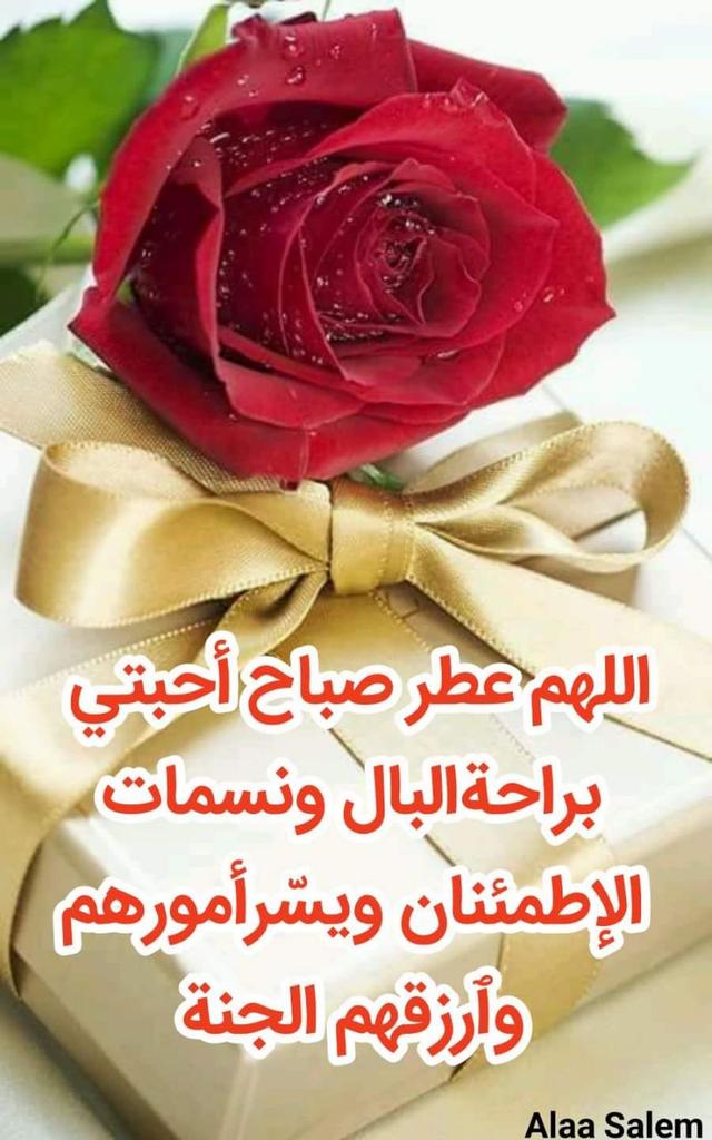 زهرة tweet media
