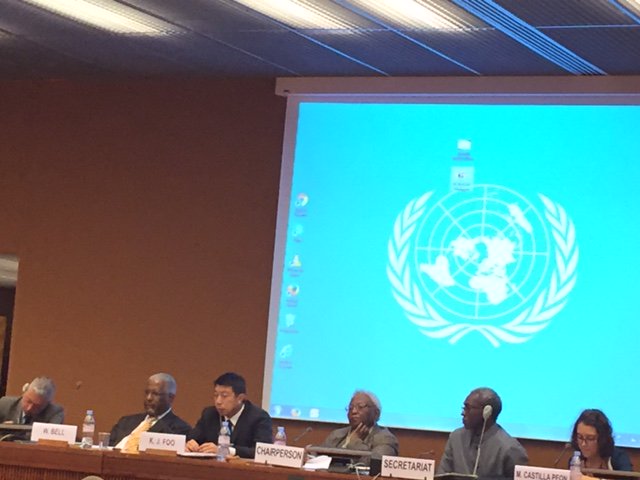 The Mayor of Birmingham, Alabama and Ambassador Foo Kok Jwee of the Permanent Mission of Singapore address the IWG of the DDPA today.