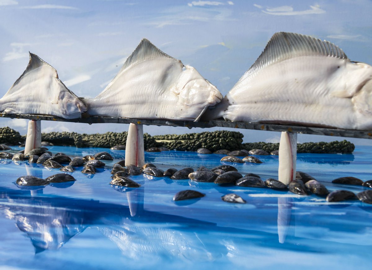 foodanddrinksco's tweet photo. Artist recreates UK landmarks - including the Queensferry Crossing - using only fish to promote #SeafoodWeek
https://t.co/ygUtj6ivjO https://t.co/WPwq0iL9oQ