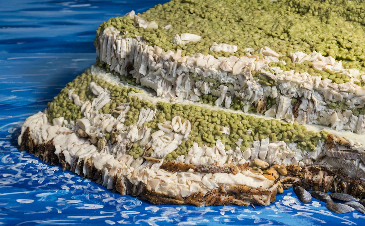 foodanddrinksco's tweet photo. Artist recreates UK landmarks - including the Queensferry Crossing - using only fish to promote #SeafoodWeek
https://t.co/ygUtj6ivjO https://t.co/WPwq0iL9oQ