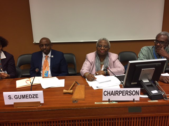 Ambassador Stevens chairs the 15th session of the IWG on Effective Implementation of the DDPA at the Palais. Day 2 is on good practices.