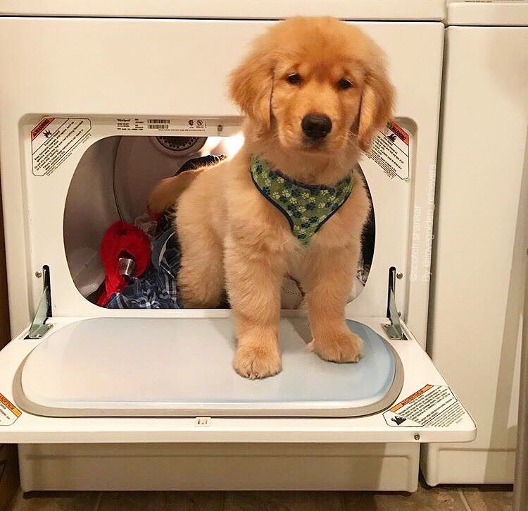 USAGirlss's tweet photo. Just helping Mommy😊 https://t.co/tGun8NW0Wt