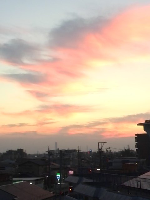 かたわれどきのtwitterイラスト検索結果